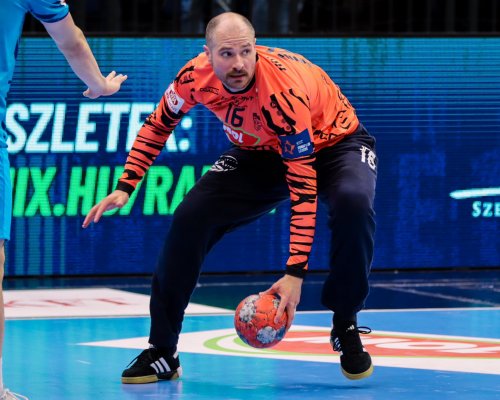 Havran přijde o spoluhráče. V Tatabanyi lovil německý aspirant na titul