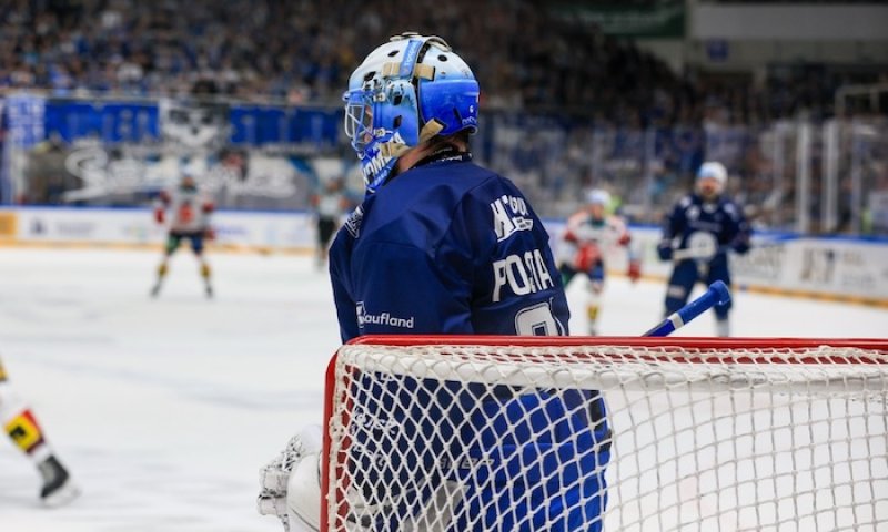Pohádka, která trvá dál. Mrázkovi přibyl v Detroitu konkurent z mistrovské Komety