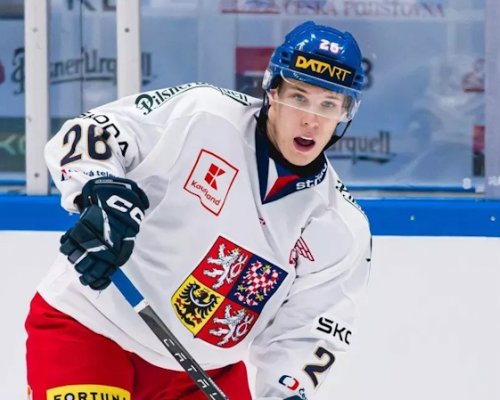 Ticháček a Galvas stále čekají. NHL se malým bekům vyhýbá, ale naděje žije