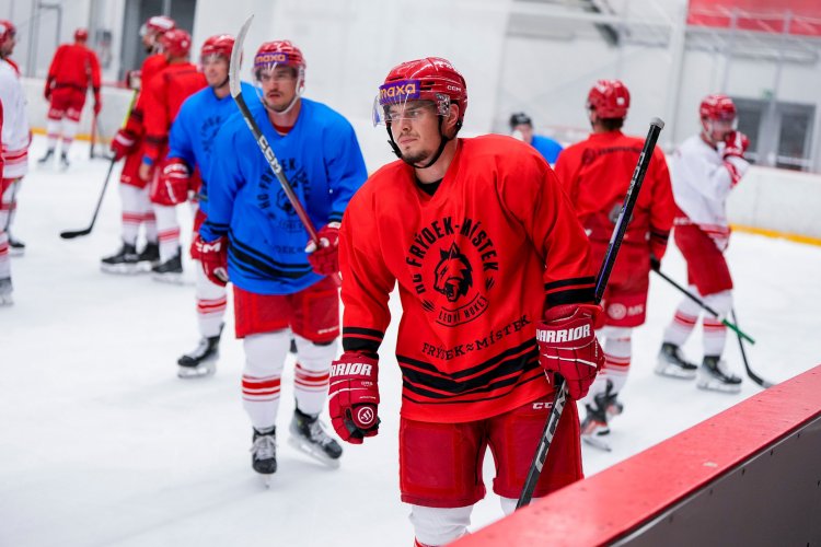 Frýdek se vrátil do Polárky. Holaň má k dispozici nové posily i hvězdy z NHL