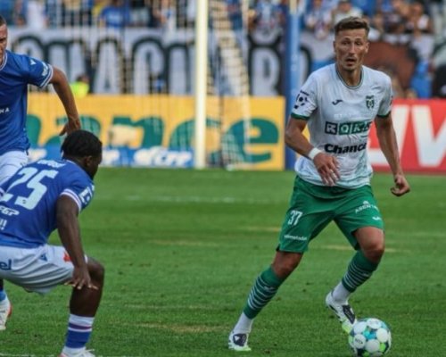 Životní forma jako vstupenka do světa. Krčík prožívá snový podzim a vábí giganty