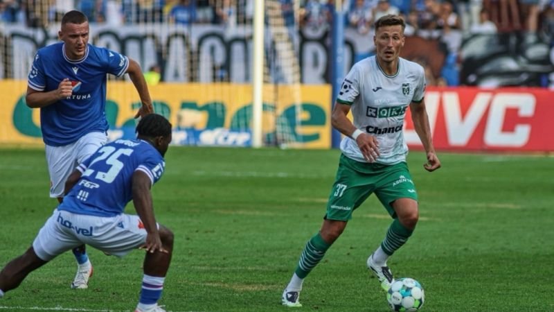 Životní forma jako vstupenka do světa. Krčík prožívá snový podzim a vábí giganty