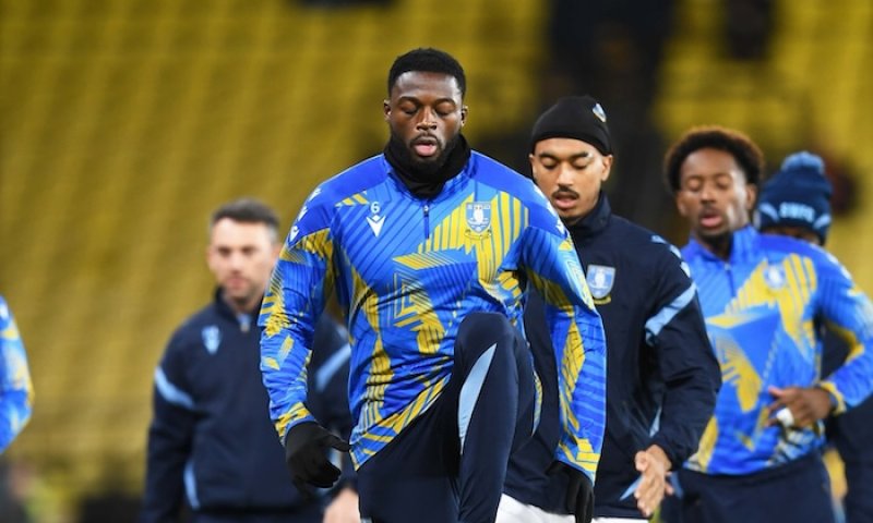 Tápající Sheffield Wednesday blízko změně majitele. Favoritem je bývalý hráč pokeru s podílem ve třech jiných evropských klubech