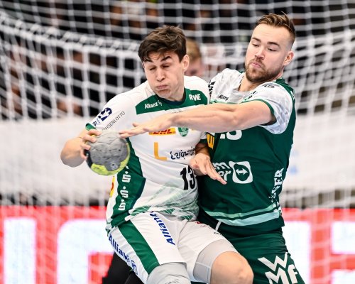 Top 5 českých házenkářů, kteří z různých důvodů citelně chybí v nominaci na Euro