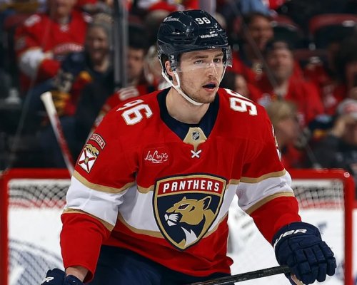 Nejtěžší kemp kariéry. Hovorka se tlačí do sestavy Panthers, před sebou má Ekblada, Jonese i Gudase