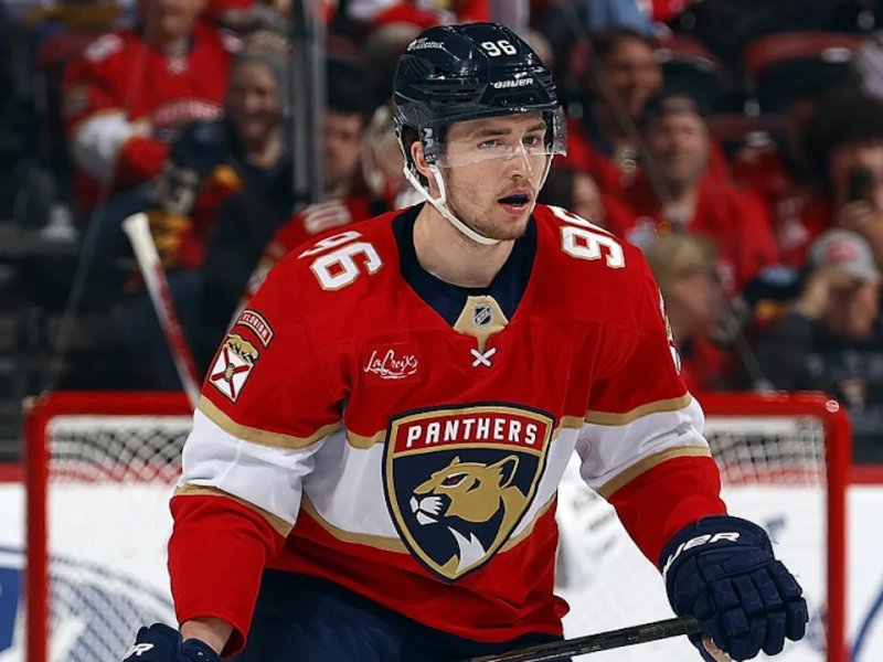 Nejtěžší kemp kariéry. Hovorka se tlačí do sestavy Panthers, před sebou má Ekblada, Jonese i Gudase