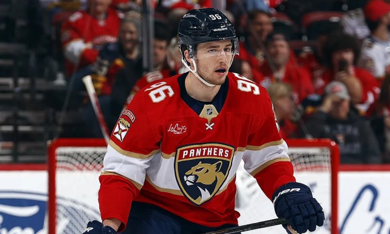 Nejtěžší kemp kariéry. Hovorka se tlačí do sestavy Panthers, před sebou má Ekblada, Jonese i Gudase