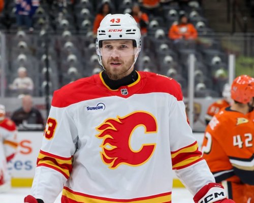 Klapka probudil spící Flames gólem i bitkou! Český obr vyzrál na Dostála a ukončil nejhorší start v historii Calgary